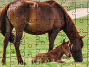 Jigsaw Puzzle Animale domesticite