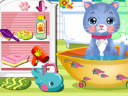 O pisicuță fericită